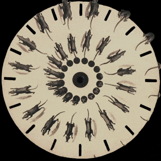 phenakistoscope